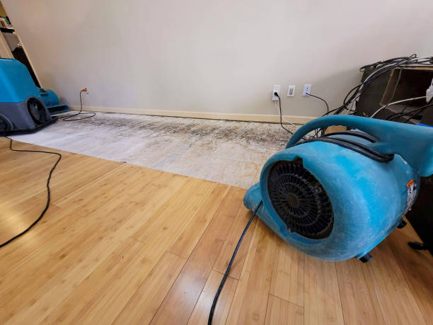 Professional Flood Damage Cleanup technician working in Waunakee, WI